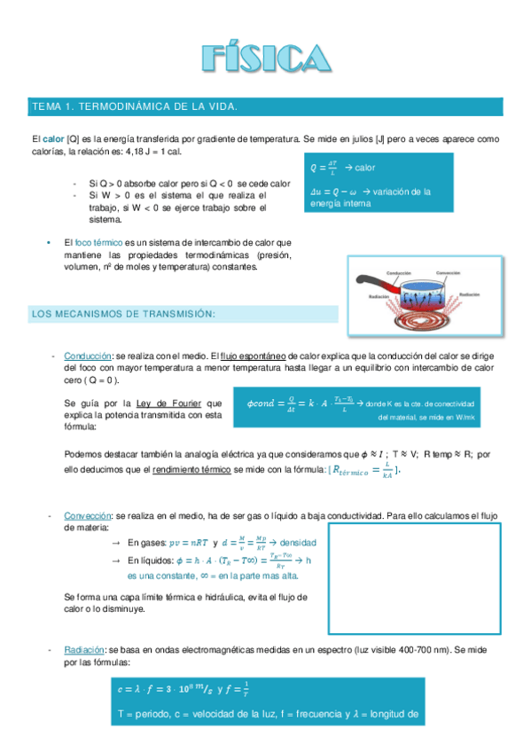 Miniatura del documento Fisica-Teoria-1o-parcial.pdf