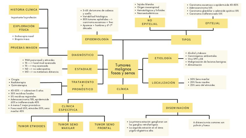 Miniatura del documento TUMORES-MALIGNOS-FOSAS-Y-SENOS-PARANASALES-OTORRINO.pdf