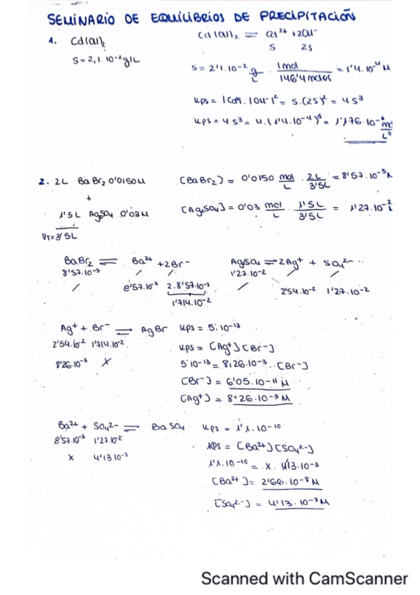 Miniatura del documento Eq-precipitacioncomplejosRedox.pdf