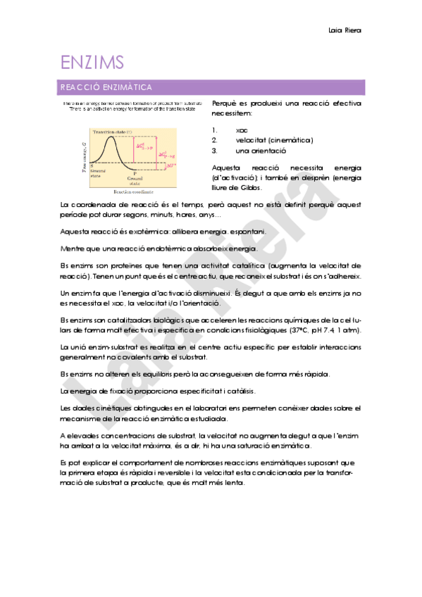 Miniatura del documento 2.-ENZIMS.pdf
