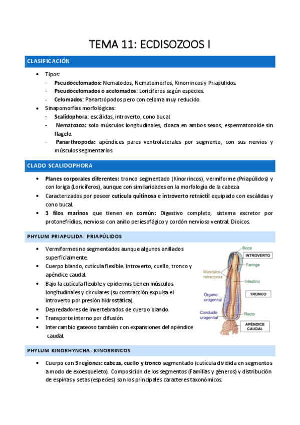 Miniatura del documento T11-ZOO-II.pdf