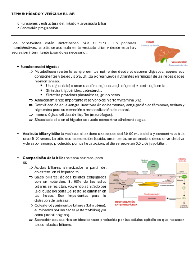 Miniatura del documento T.5-Sistema-digestivo.pdf