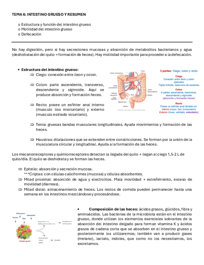 Miniatura del documento T.6-Sistema-digestivo.pdf