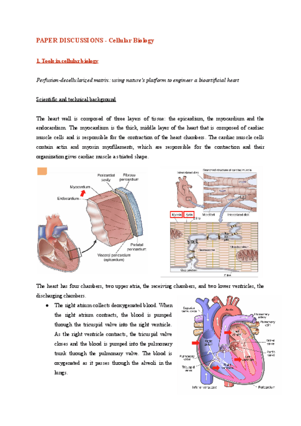 Miniatura del documento Paper-discussions.pdf