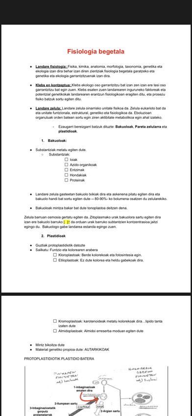 Miniatura del documento IMG4340.png