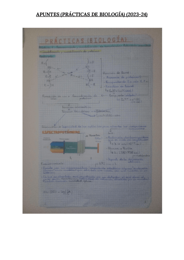 Miniatura del documento APUNTES DE PRÁCTICAS DE BIOLOGÍA (2023-2024).pdf