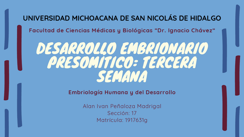 Miniatura del documento DESARROLLO-EMBRIONARIO-PRESOMITICO-TERCERA-SEMANA.pdf