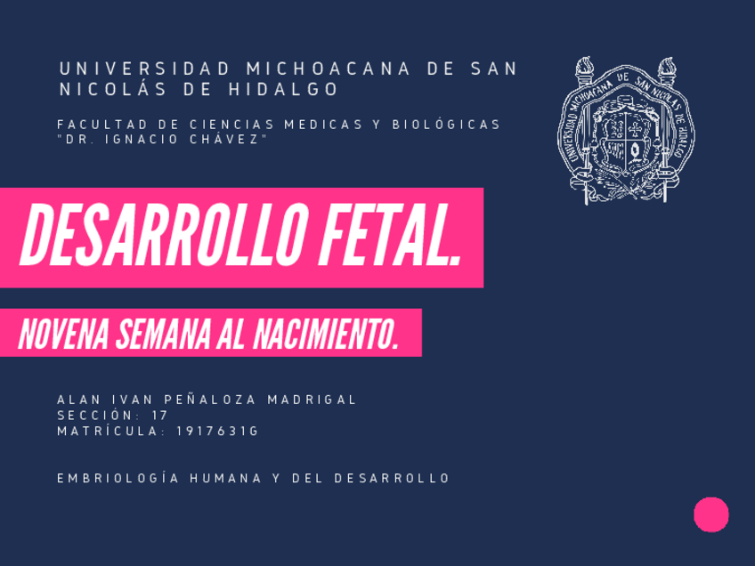 Miniatura del documento ORGANOGENESIS-DESARROLLO-FETAL-NOVENA-SEMANA-AL-NACIMIENTO.pdf