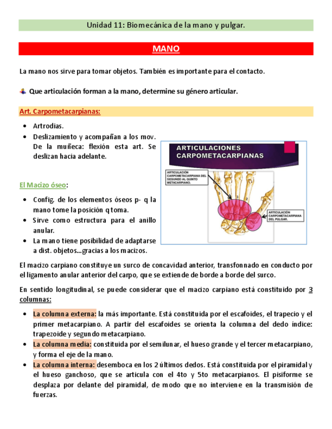 Miniatura del documento RTA.-GUIA-11-MANO-PULGAR.pdf