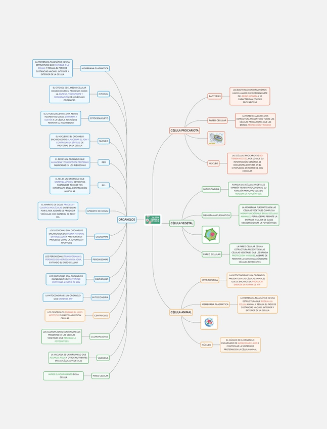 Miniatura del documento Screenshot20240329172024Samsung-Internet2.jpg
