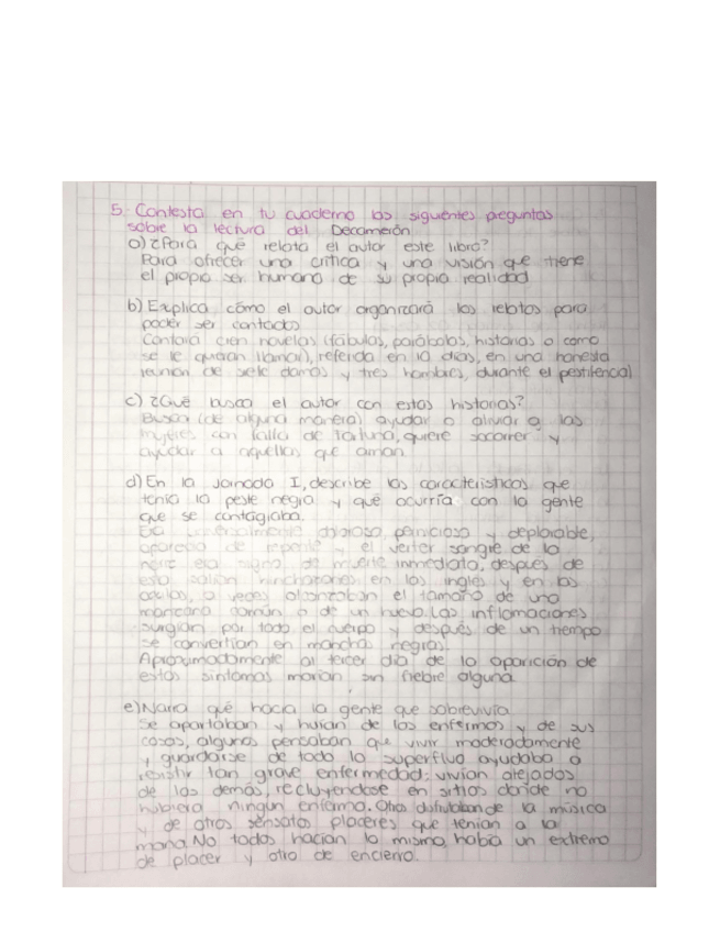 Miniatura del documento Preguntas-acerca-del-Decameron.pdf