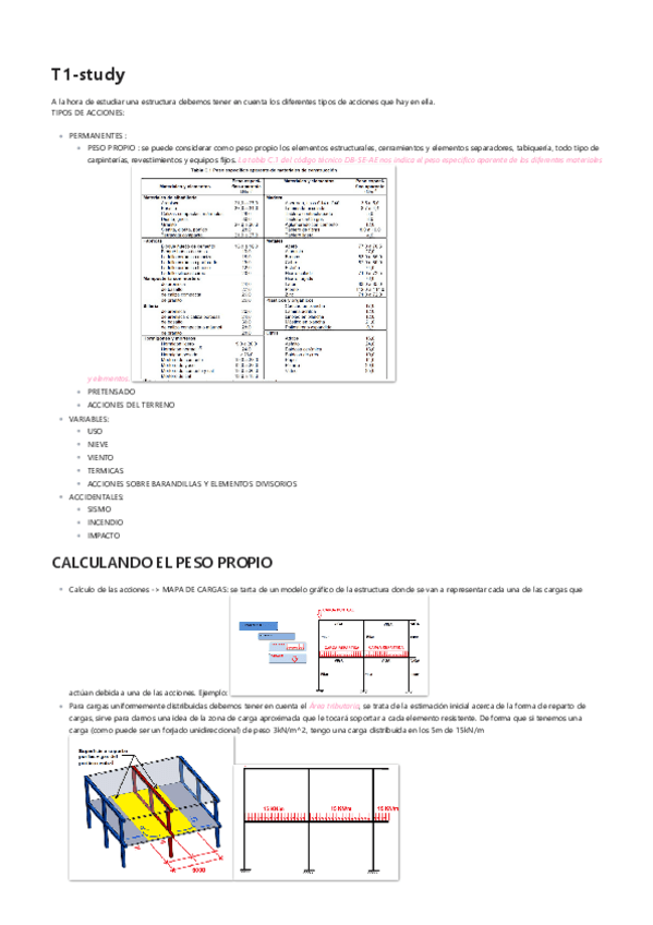 Miniatura del documento T1-acciones-resumen.pdf