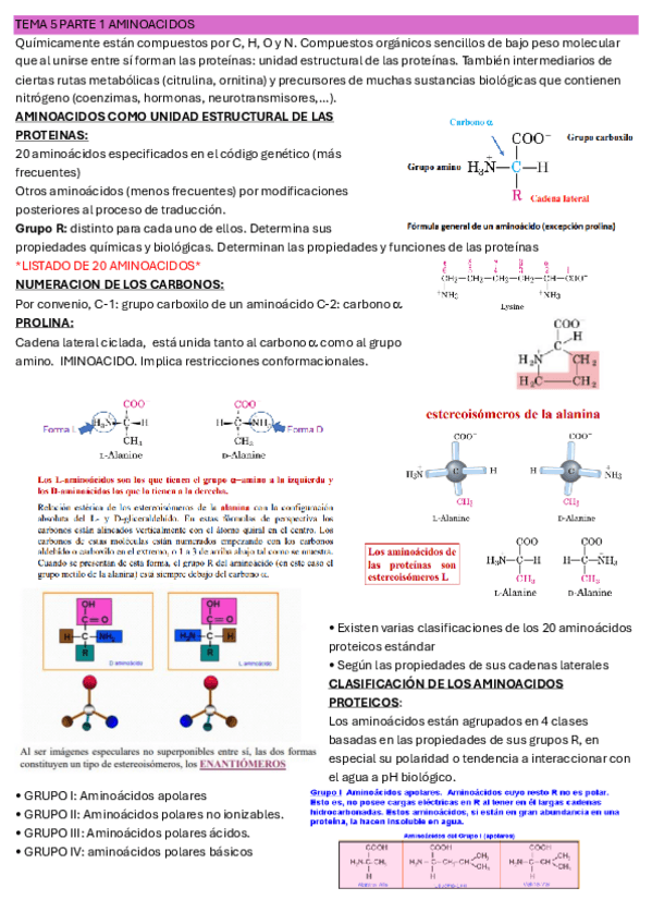 Miniatura del documento TEMA-5-PARTE-1-AMINOACIDOS-IMPRIMIR.pdf