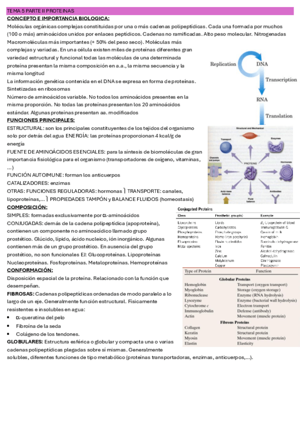 Miniatura del documento TEMA-5-PARTE-II-BIOQUIMICA-IMPRIMIR.pdf