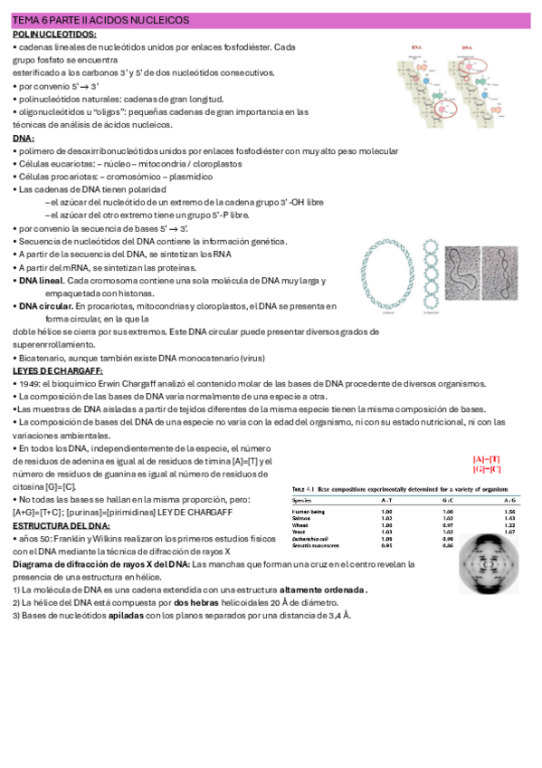 Miniatura del documento TEMA-6-PARTE-II-NUCLEOTIDOS-IMPRIMIR.pdf