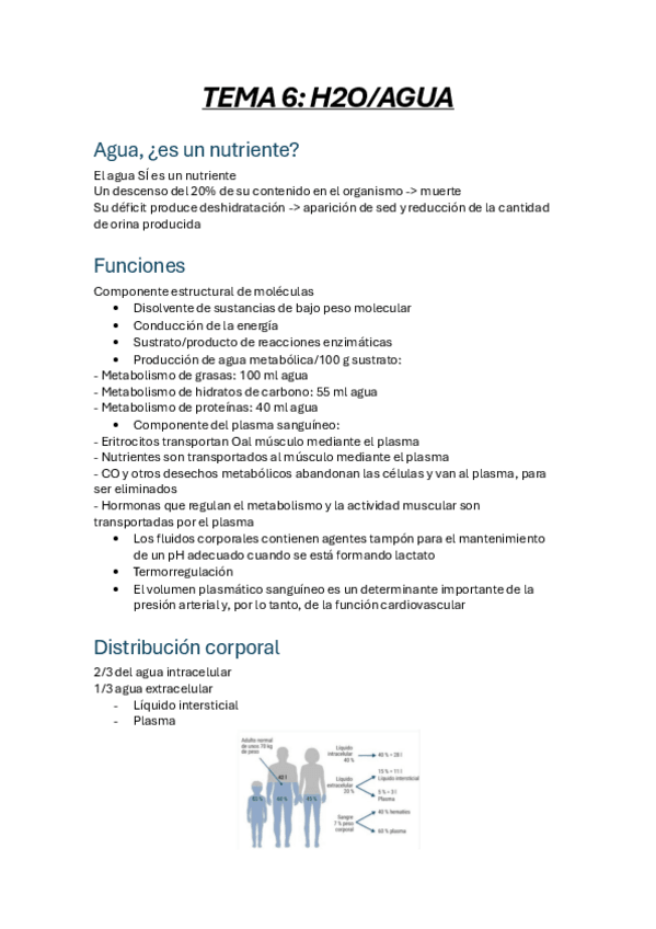 Miniatura del documento TEMA-6.-AGUA.pdf