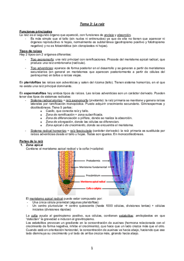 Miniatura del documento Tema-3.pdf