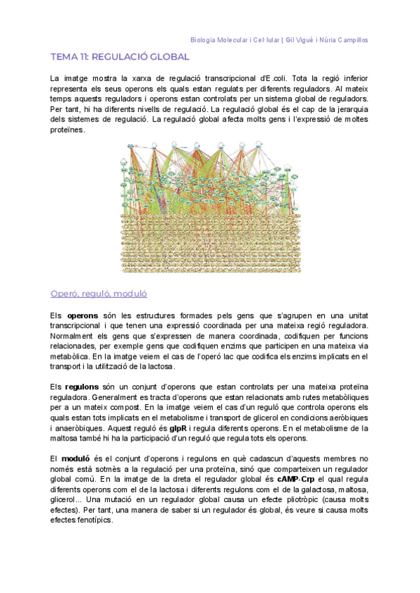 Miniatura del documento BMCM-11-12-2023.pdf