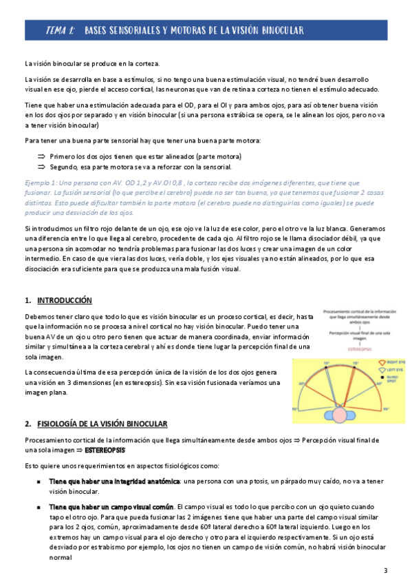 Miniatura del documento Tema-1-y-Tema-2.pdf