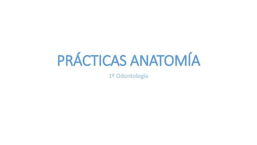 Miniatura del documento Imagenes-Practicas-Anatomia-Humana.pdf