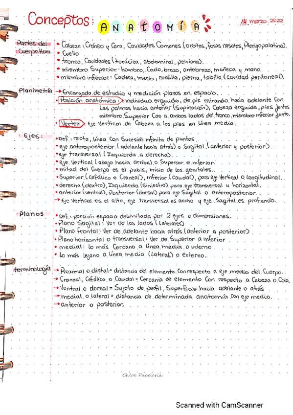 Miniatura del documento osteologia-1.pdf