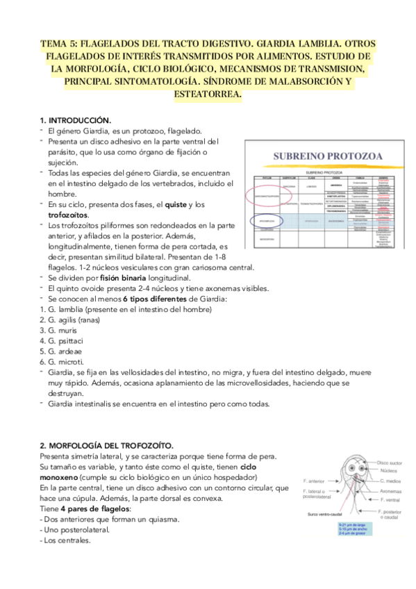 Miniatura del documento T5-PARASITOLOGIA.pdf