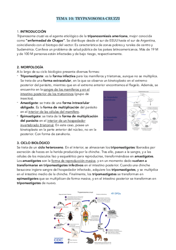 Miniatura del documento T10-PARASITOLOGIA.pdf