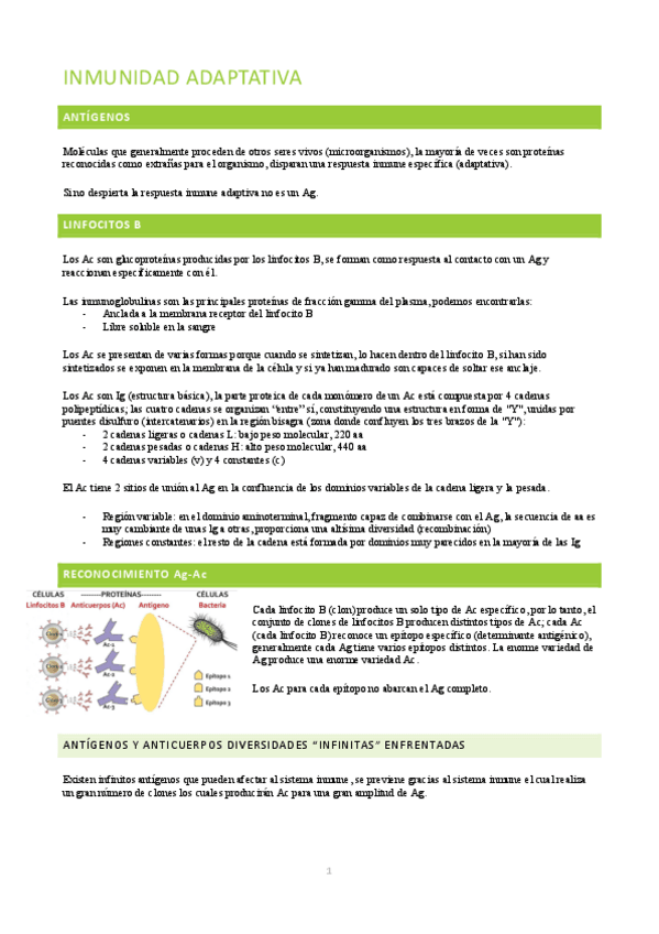 Miniatura del documento tema-7.pdf