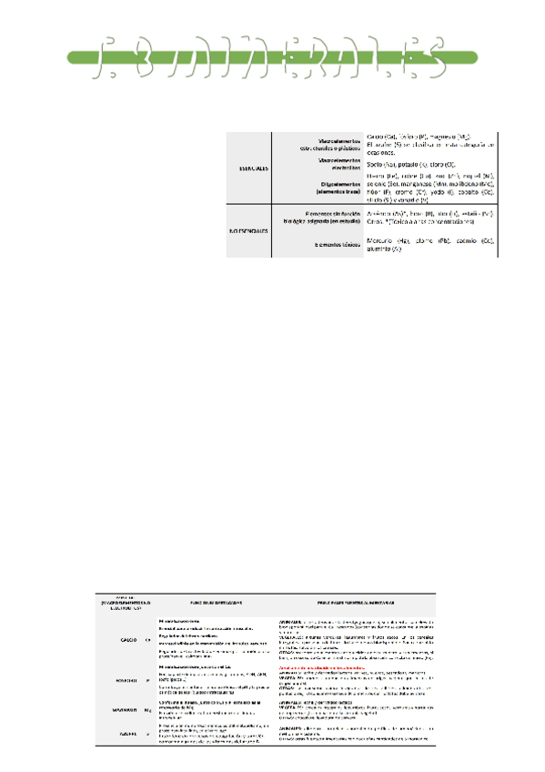 Miniatura del documento tema-8-minerales.pdf