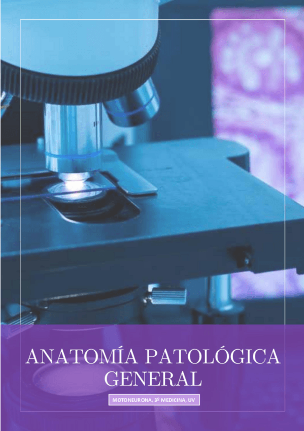 Miniatura del documento APG-Teoria--seminarios-1h.pdf