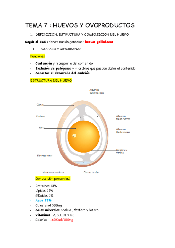 Miniatura del documento TEMA-7-huevo-y-ovoproductos.pdf