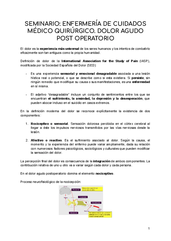 Miniatura del documento Seminario-dolor-agudo-postoperatorio.pdf