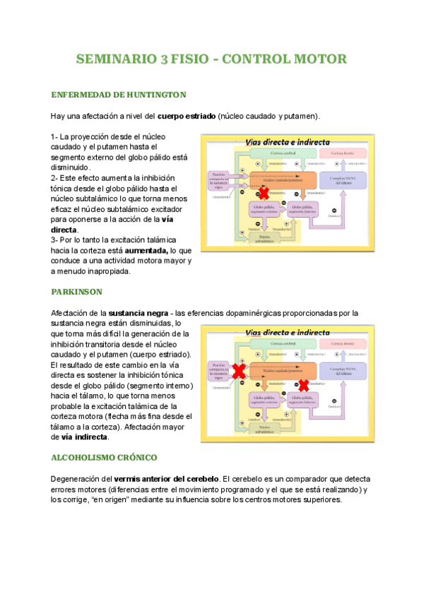 Miniatura del documento SEMINARIO-3-FISIO-CONTROL-MOTOR.pdf