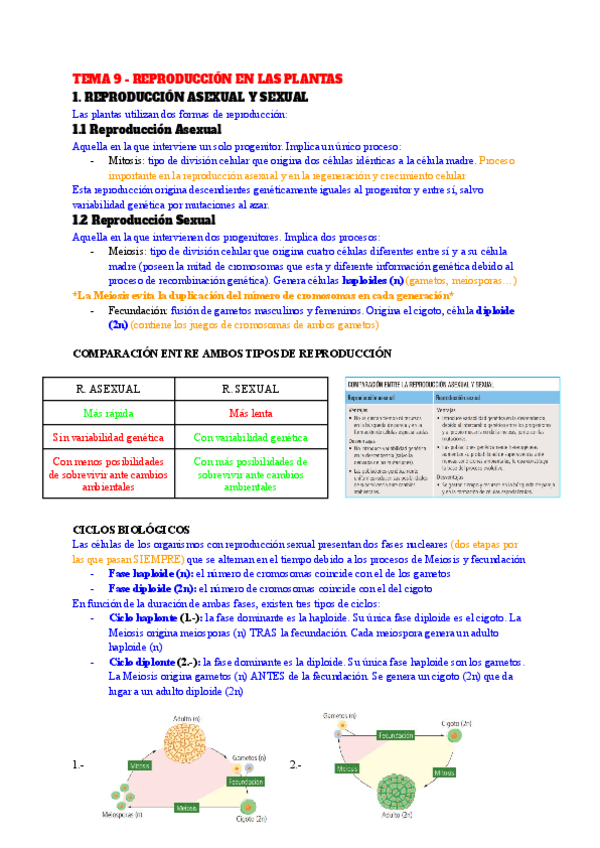 Miniatura del documento TEMA-9-REPRODUCCION-EN-LAS-PLANTAS.pdf