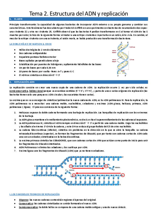 Miniatura del documento T2.-Estructura-del-ADN-y-replicacion.pdf