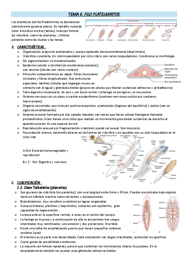 Miniatura del documento TEMA-6.pdf