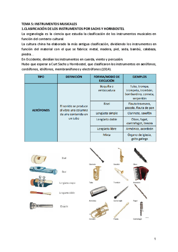 Miniatura del documento TEMA-5-INSTRUMENTOS-MUSICALES.pdf