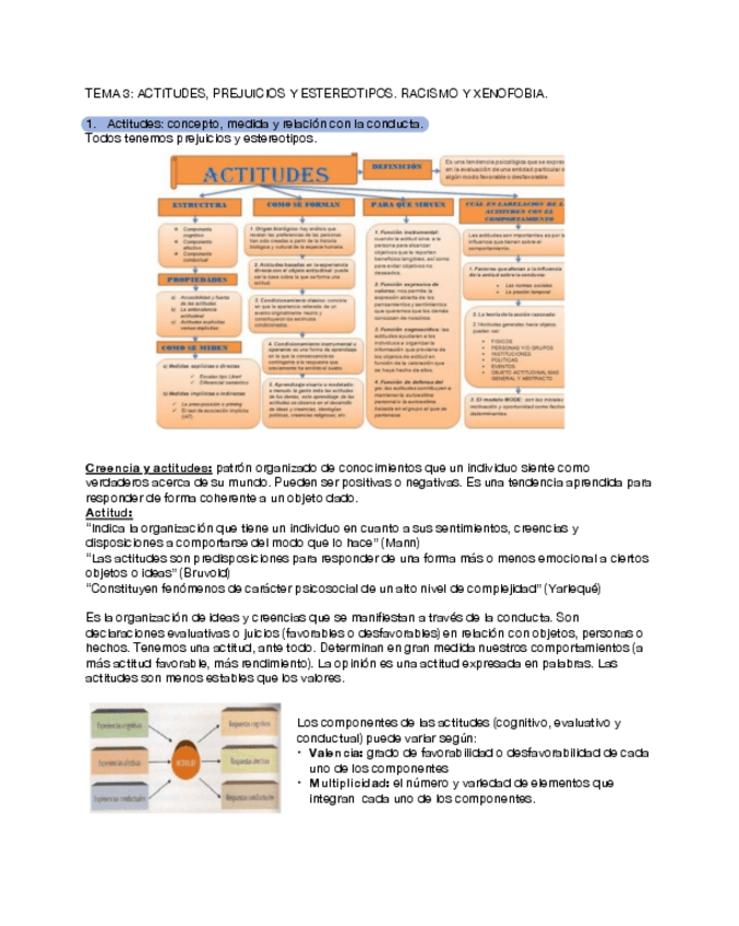 Miniatura del documento TEMA-3ACTITUDES-PREJUICIOS-Y-ESTEREOTIPOS.-RACISMO-Y-XENOFOBIA..pdf