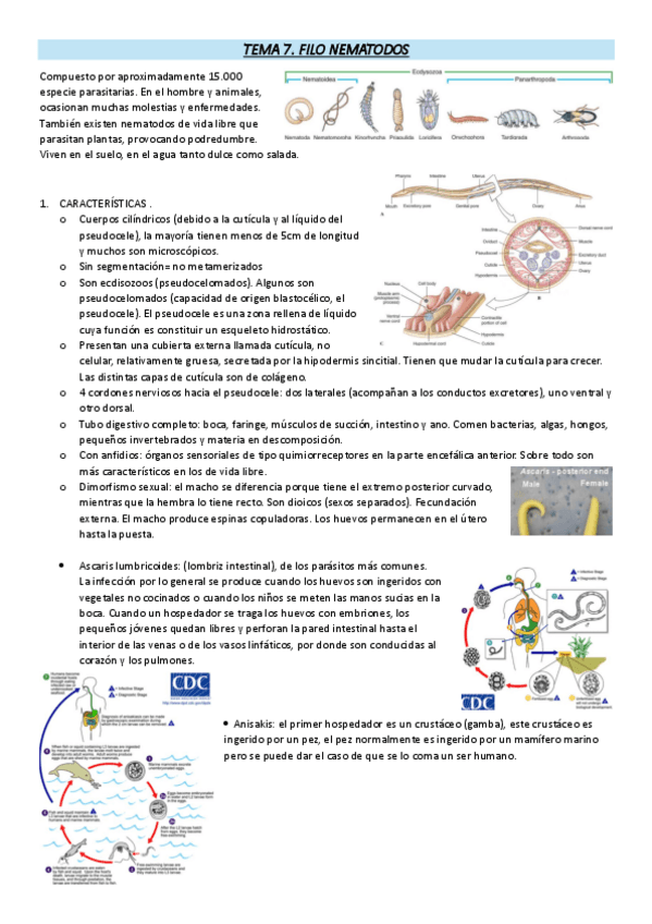 Miniatura del documento TEMA-7.pdf