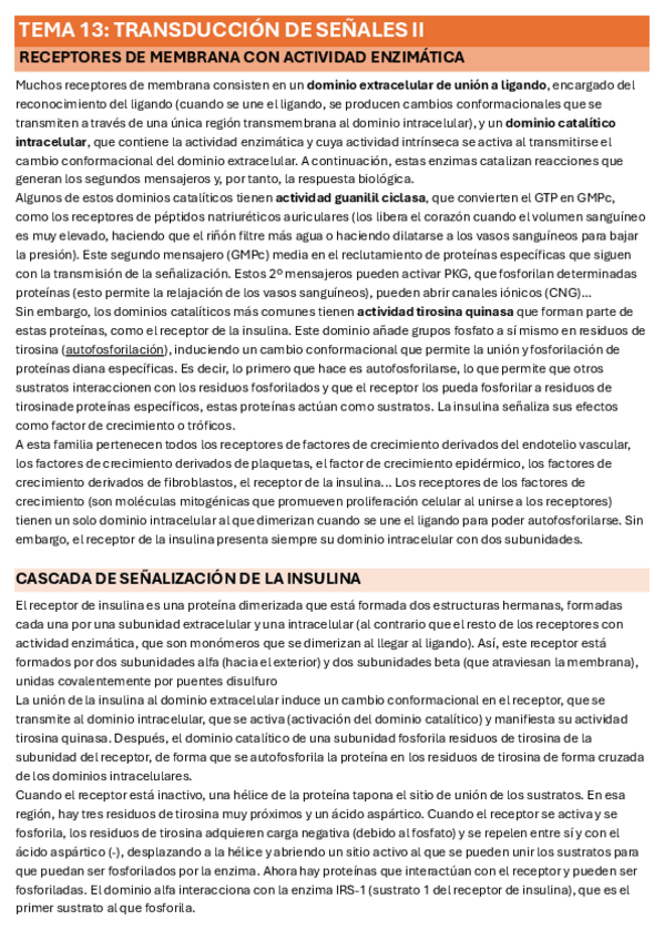 Miniatura del documento T.13.pdf