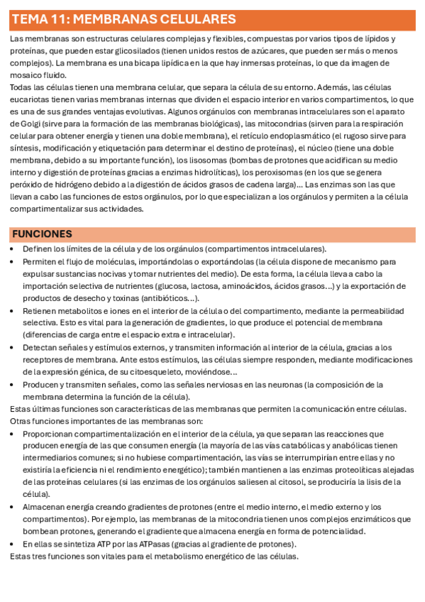 Miniatura del documento T.11.pdf