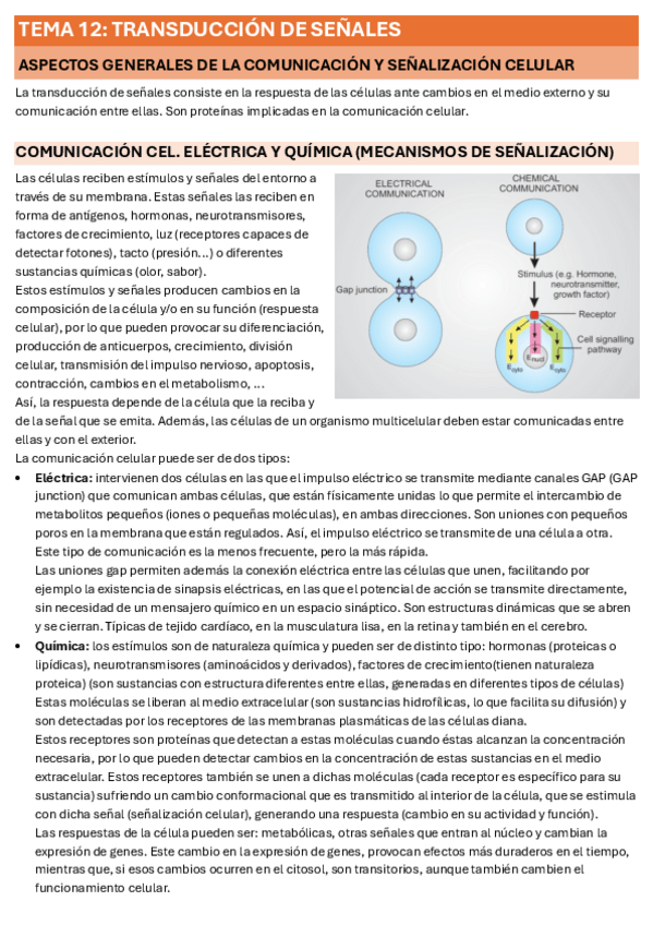 Miniatura del documento T.12.pdf