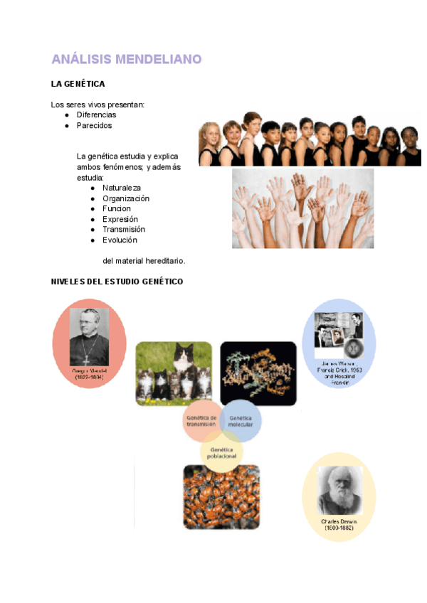 Miniatura del documento TEMA 1 (Genética).pdf