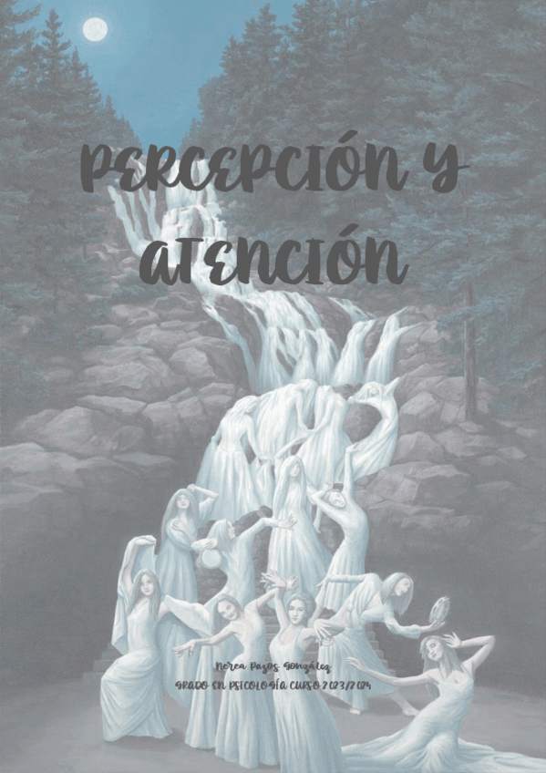Miniatura del documento Apuntes-de-Percepcion-y-Atencion-2023-2024.pdf
