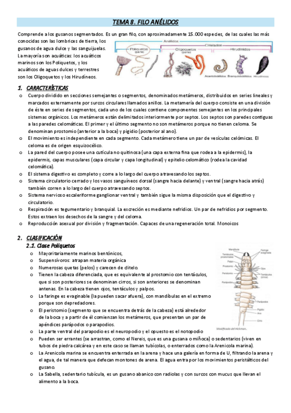 Miniatura del documento TEMA-8-anelidos.pdf