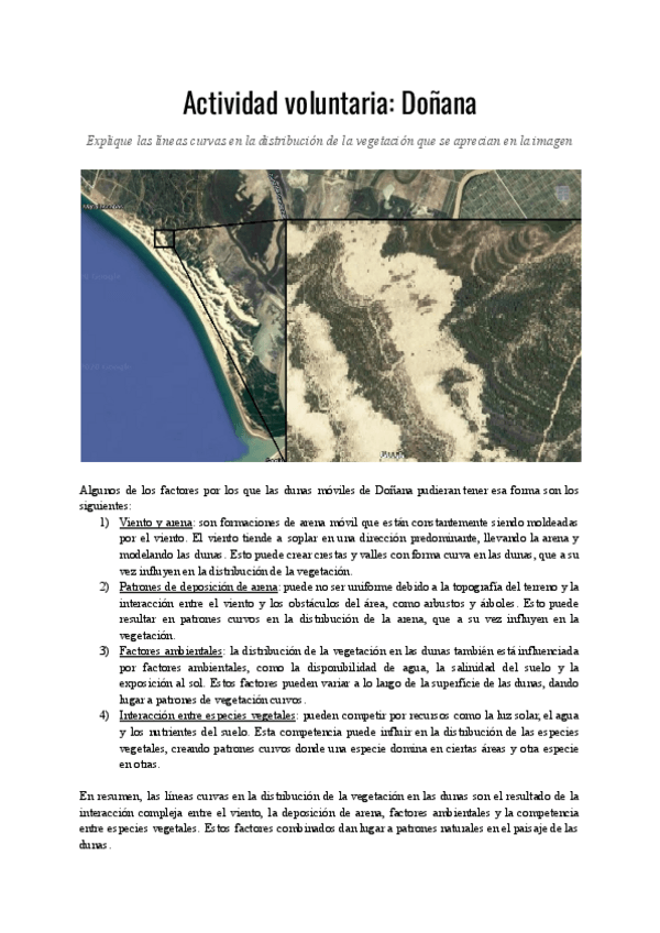 Miniatura del documento Actividad-voluntaria-Donana.pdf