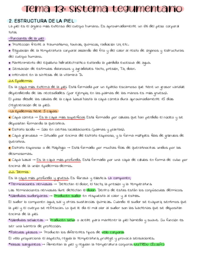 Miniatura del documento Tema-13-Fisio.pdf