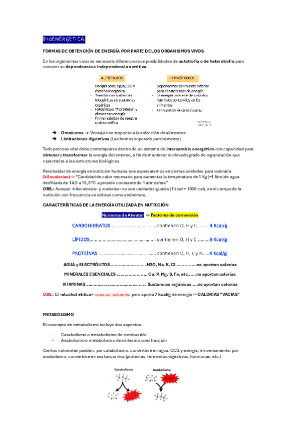 Miniatura del documento BIOENERGETICA.pdf