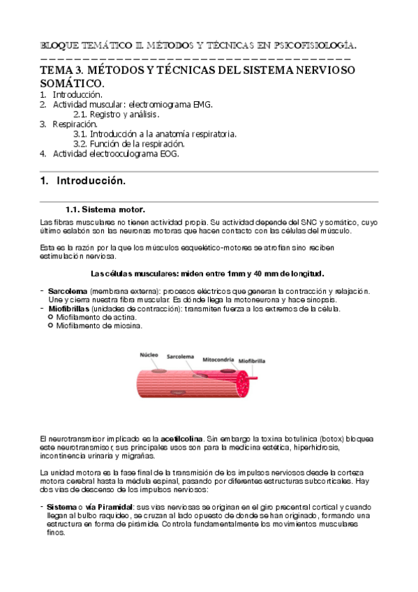 Miniatura del documento Tema-3-fisio.pdf