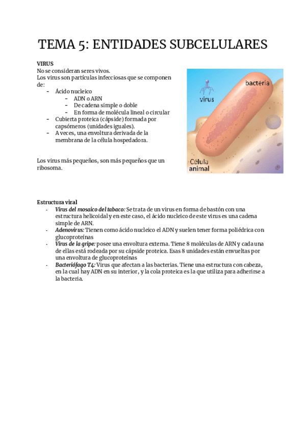 Miniatura del documento TEMA-5.pdf